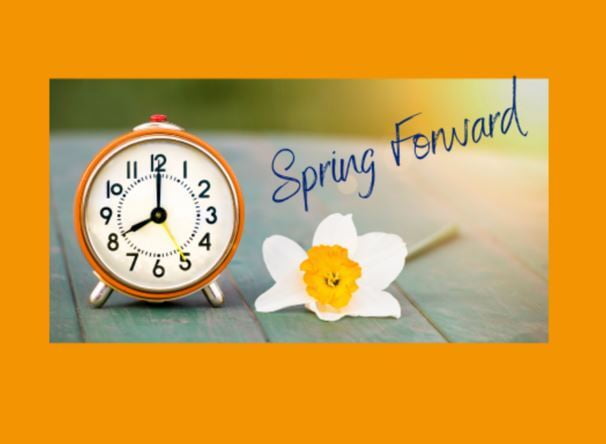 Springing into Daylight Savings Time